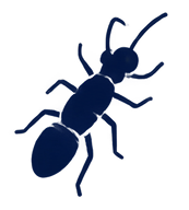 Icon2