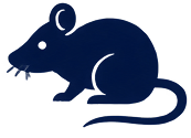Icon3