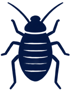 Icon4