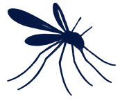 Icon5