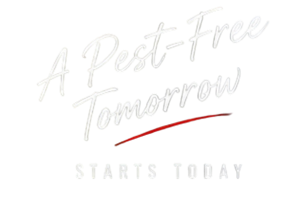 A pest free image